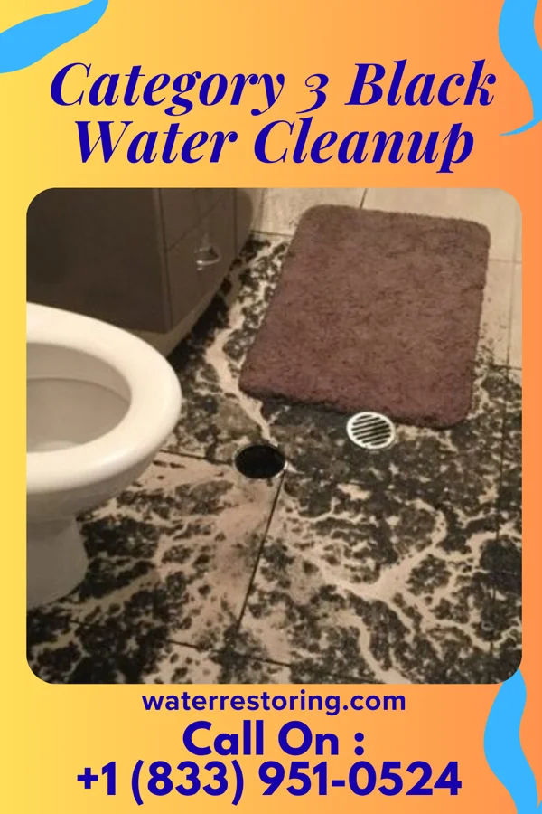 Category 3 Black Water Cleanup in Chamberlayne, VA