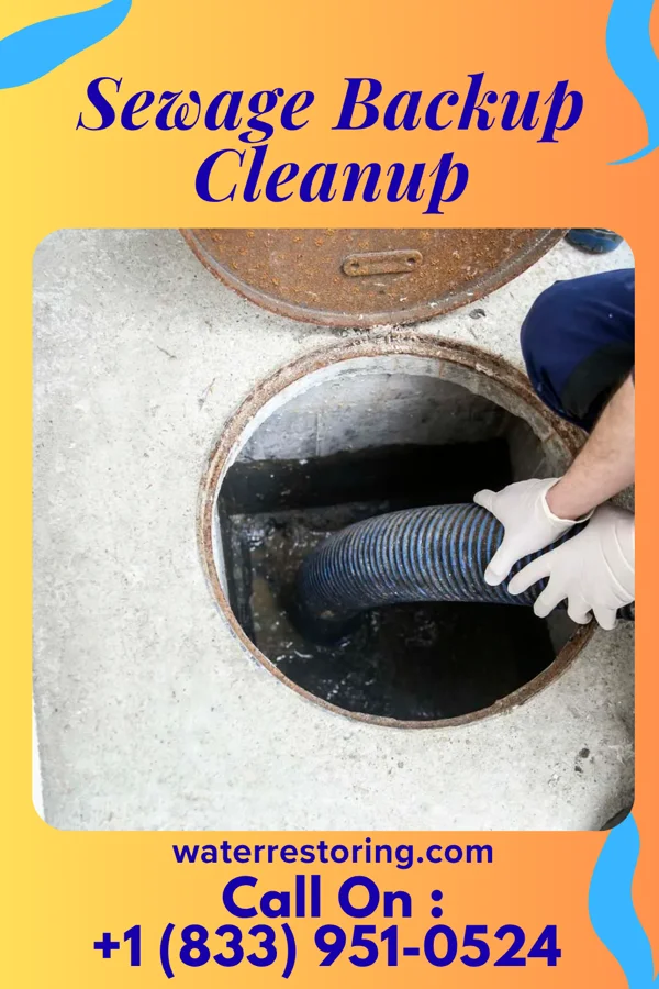 Sewage Backup Cleanup in Chamberlayne, VA
