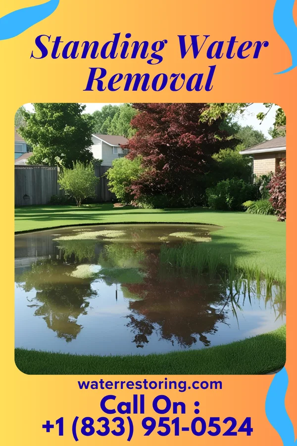 Standing Water Removal in Chamberlayne, VA